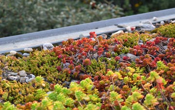 the cost of Andertons Mill green roof installation