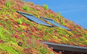 Andertons Mill living roof systems
